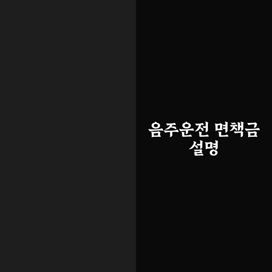 음주운전 사고 면책금 얼마나 큰지 사례로 알아본 솔직후기