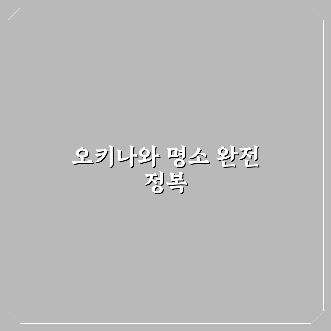 오키나와 꼭 가야할곳 추천과 여행 꿀팁 알려드려요