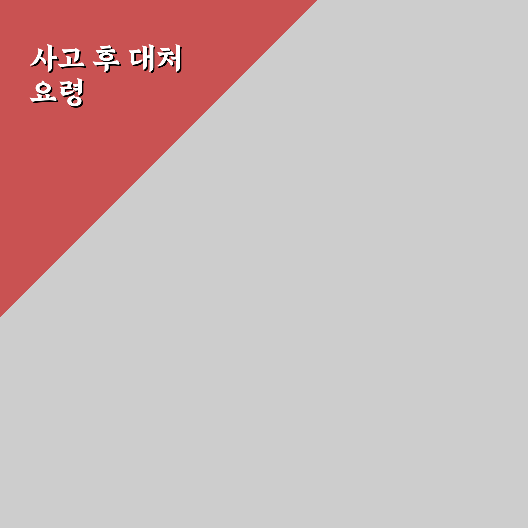 자동차 사고 처리 요령, 당황하지 않게 순서로 정리한 리얼후기