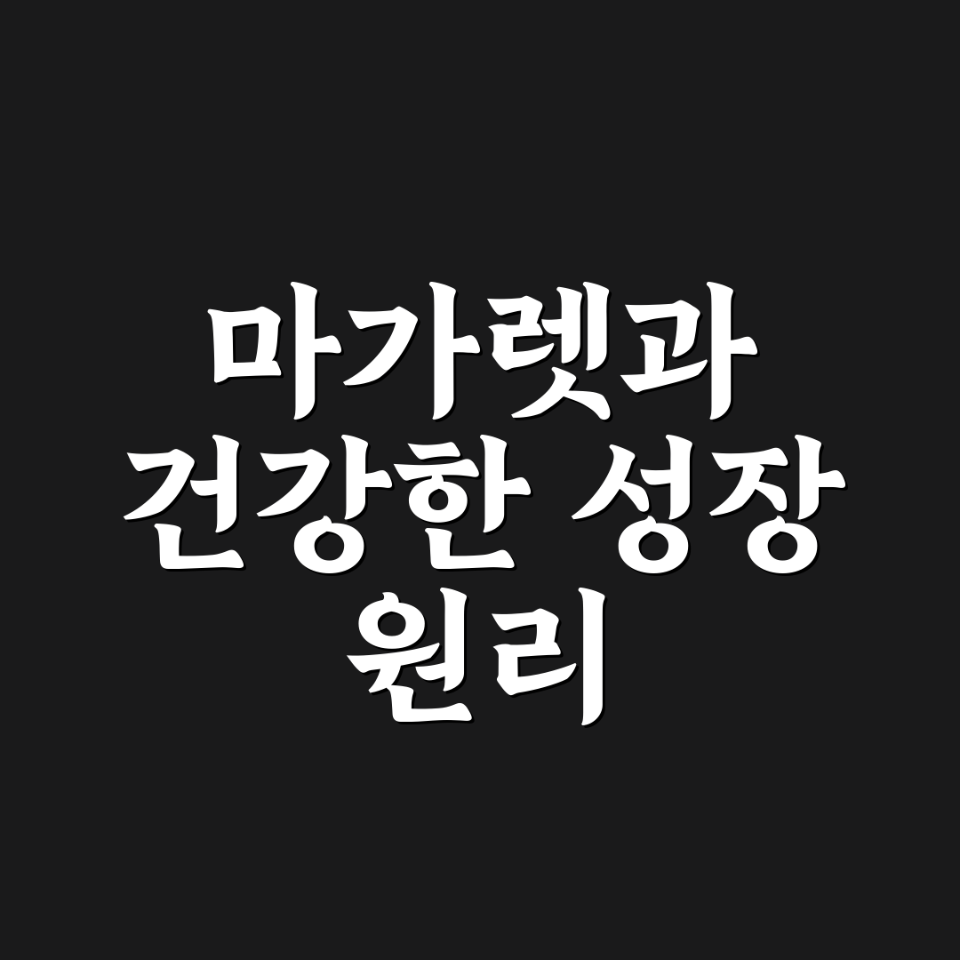 마가렛 꽃 키우는 법과 꿀팁 쉽게 알려드려요