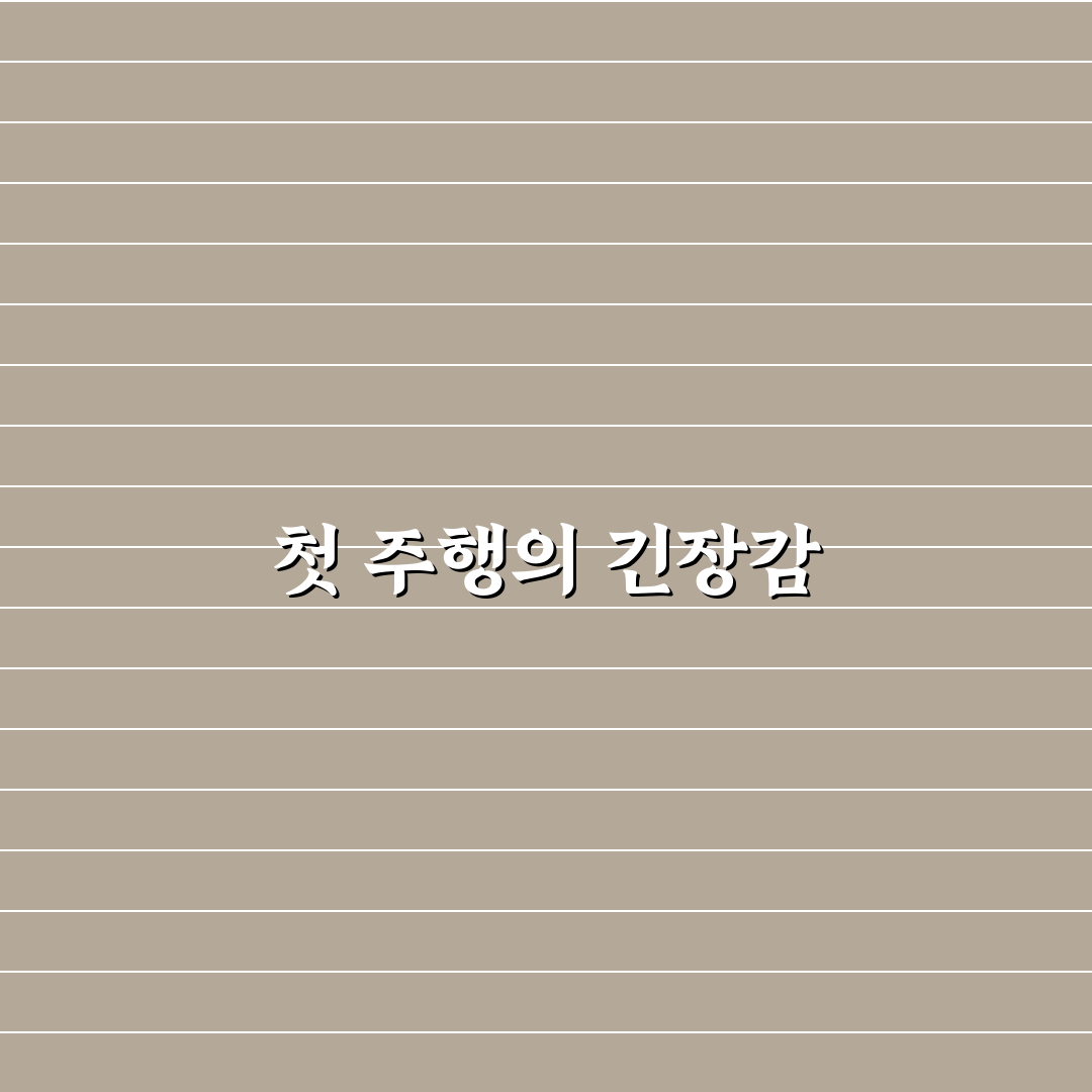 도로 주행 시험 감점 요인 미리 알고 실수 줄이는 법: 솔직후기