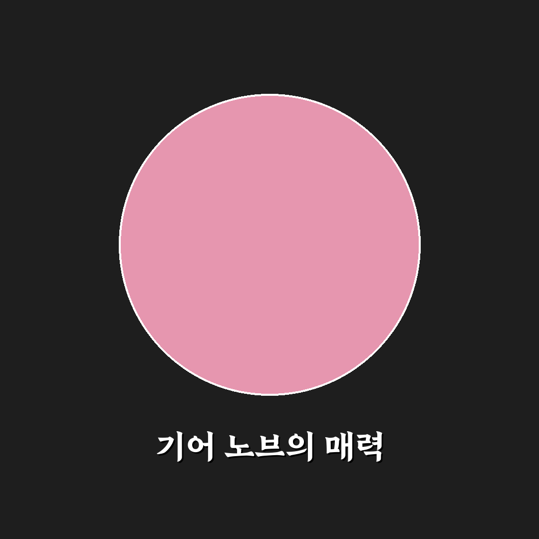 기어 노브 튜닝 전 규격과 체결 방식 먼저 보는 법에 대한 솔직후기