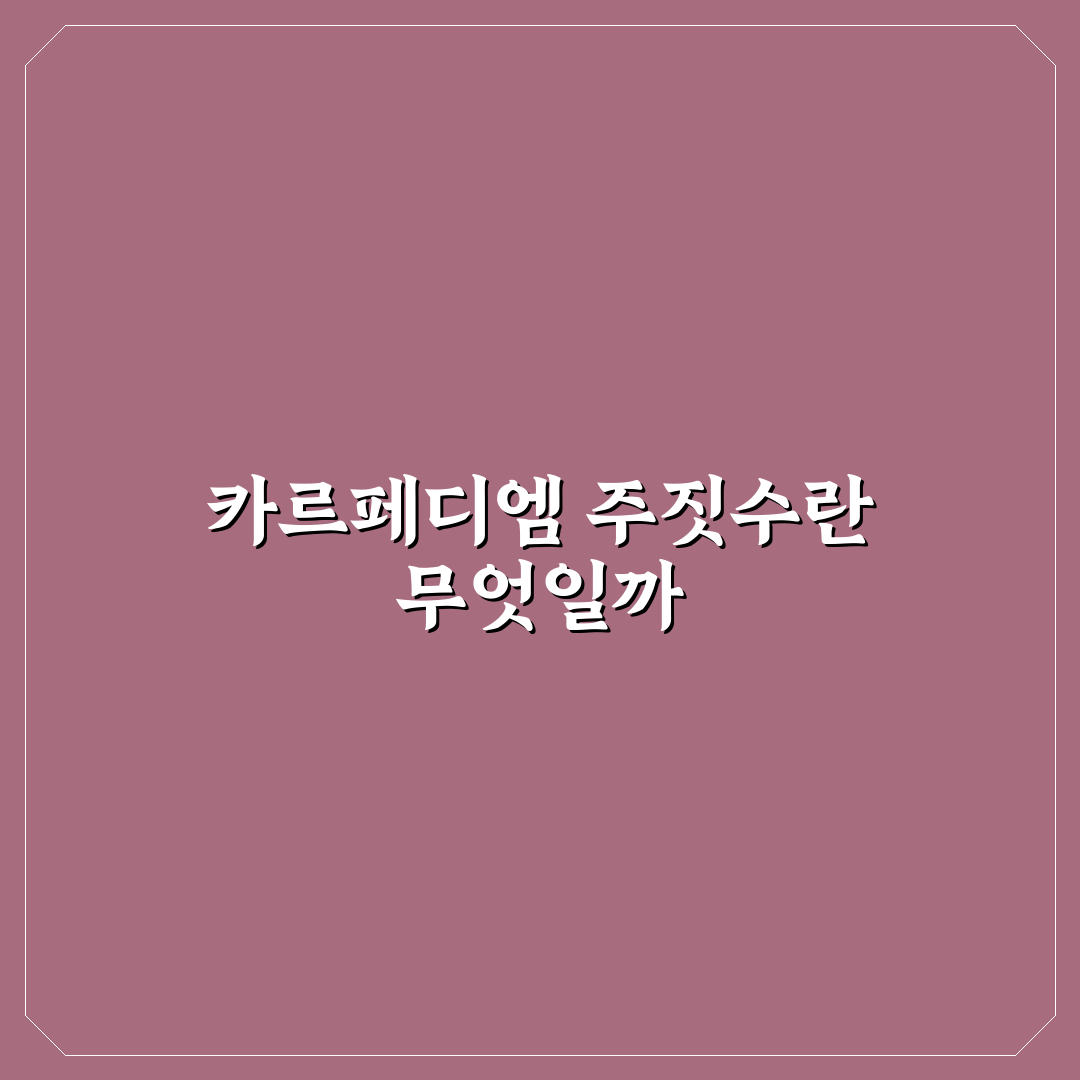 카르페디엠 주짓수 초보자를 위한 꿀팁 정리