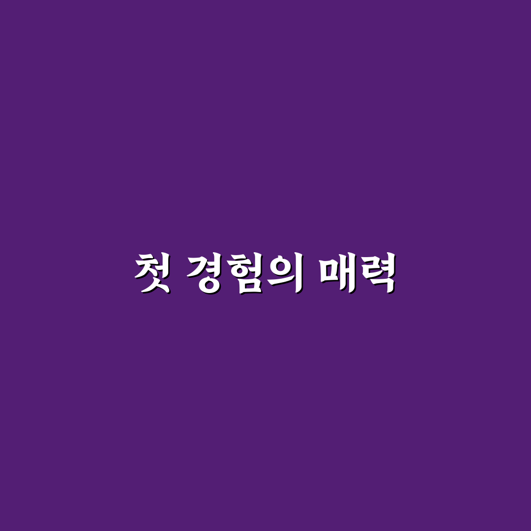 현대 코나 하이브리드 선택 시 트림별 차이 정리와 리얼후기