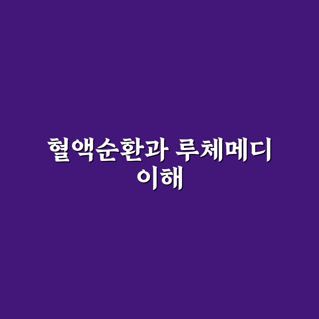 루체메디 혈액순환제 효과와 사용법 꿀팁 알려드려요