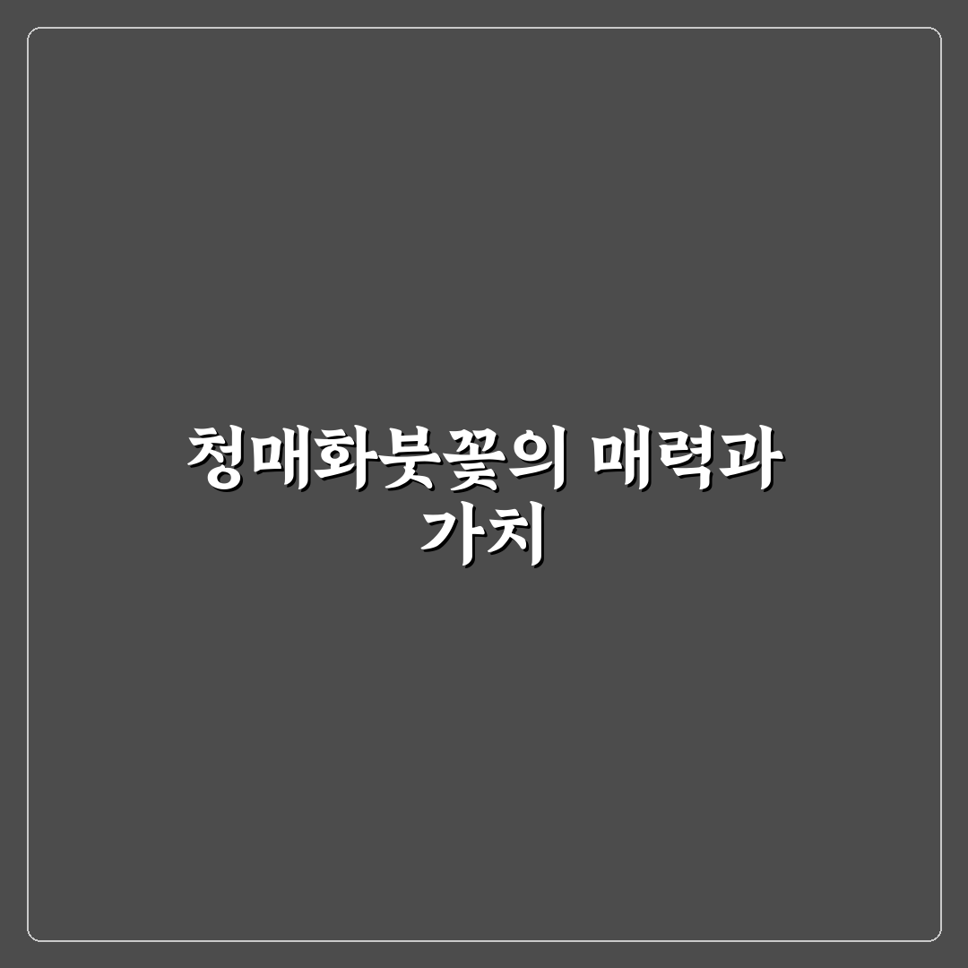 청매화붓꽃 키우기 꿀팁과 관리법 쉽게 알려드려요