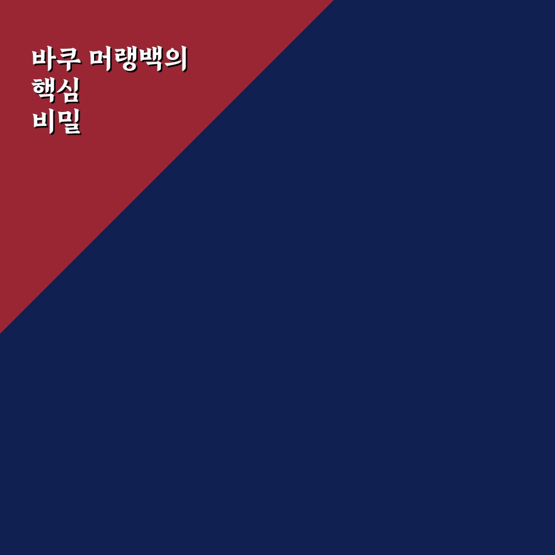 바쿠 머랭백 사용법과 관리 꿀팁 알려드려요