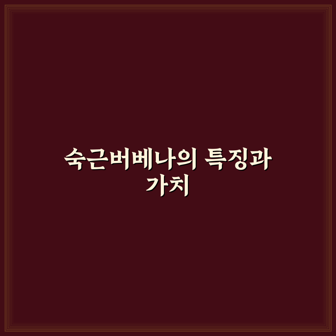 숙근버베나 키우는법과 관리 꿀팁 쉽게 알려드려요
