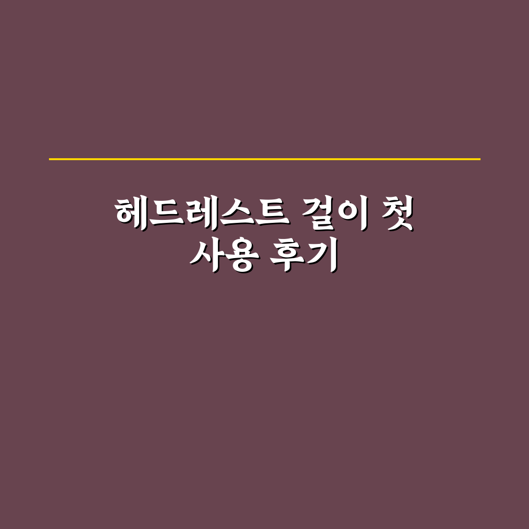 헤드레스트 걸이 추천과 뒷좌석 수납 깔끔해지는 팁 - 솔직후기