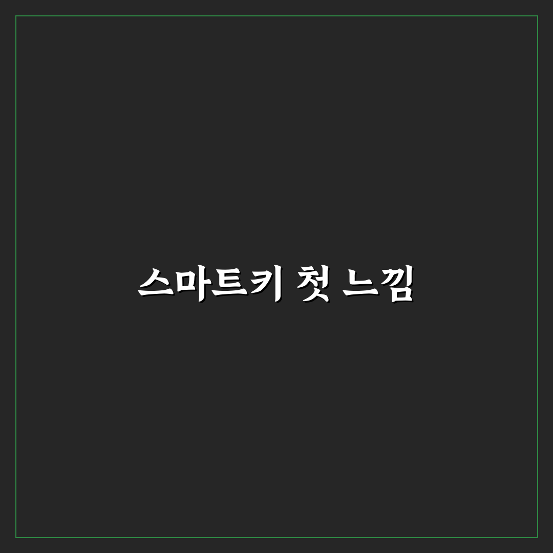 자동차 스마트키 케이스 고를 때 신호 간섭 확인하기 솔직후기