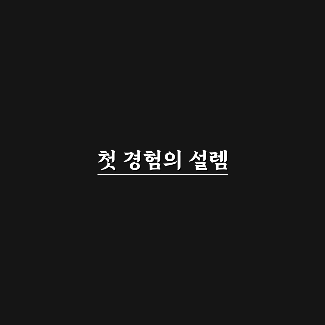 차량용 무선 안드로이드 오토 동글 선택 기준 정리와 솔직후기