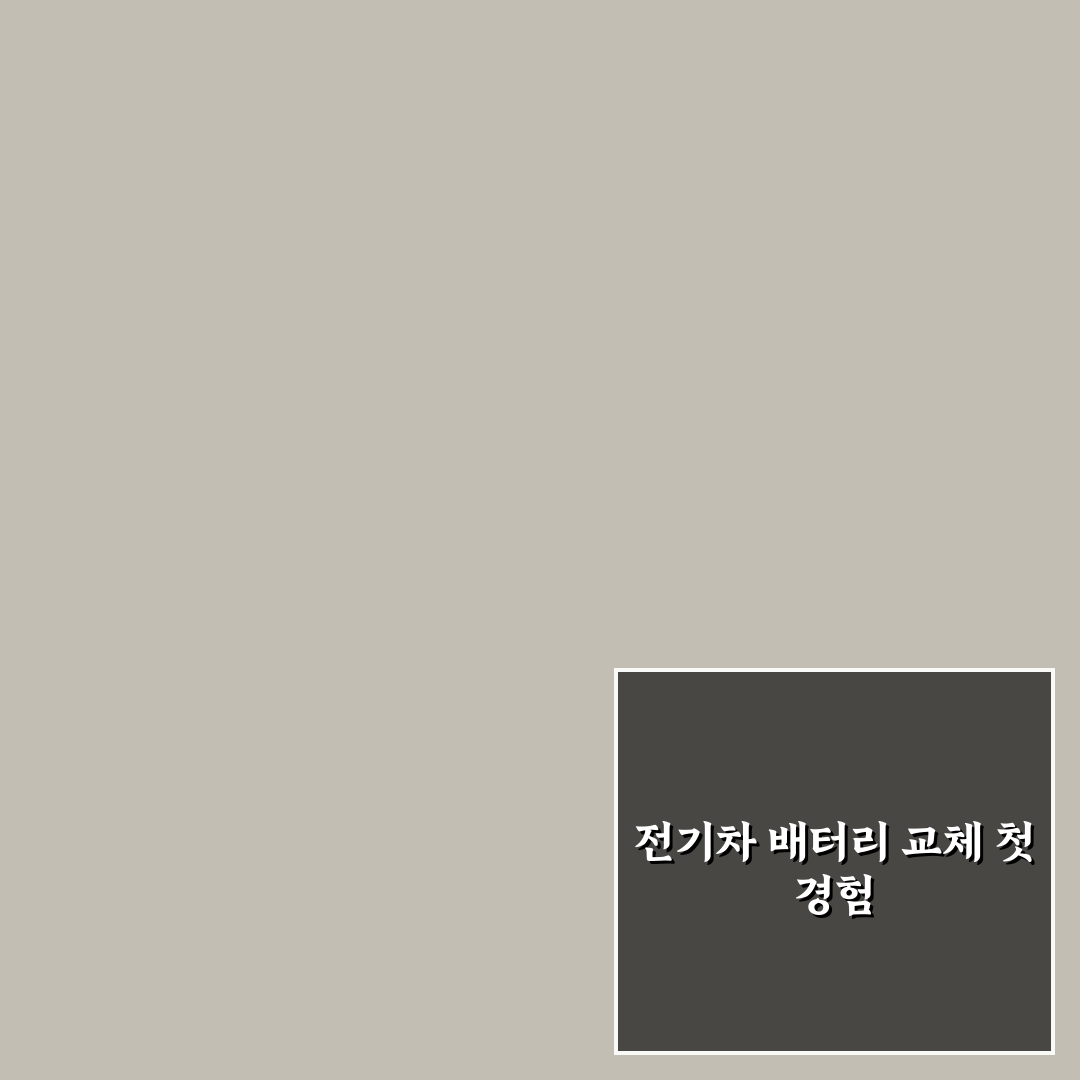 전기차 배터리 교체 특약 꼭 필요한지 따져본 솔직후기
