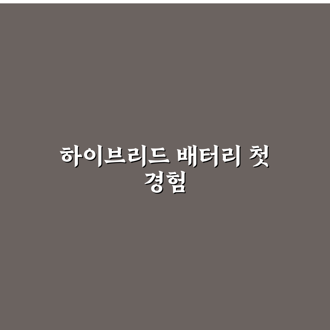 하이브리드 배터리 수명과 교체 비용 걱정 줄이는 기준에 대한 솔직후기