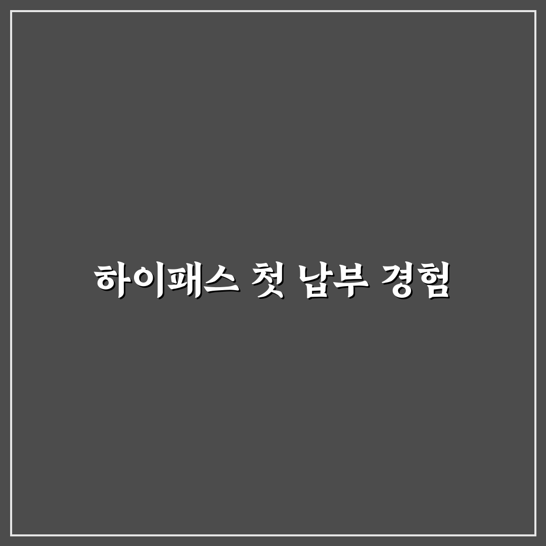고속도로 하이패스 미납 납부 늦으면 생기는 불이익 직접 써본 후기