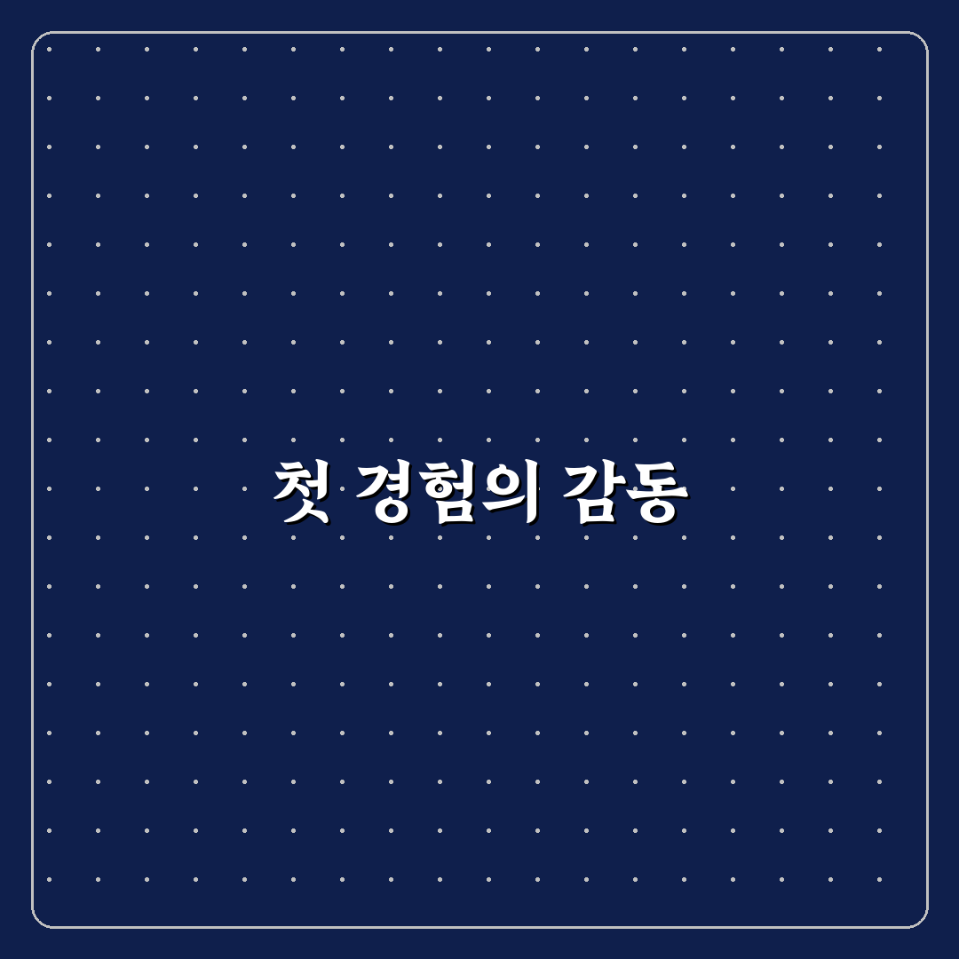 초보 운전 연수 가격 비교와 업체 선택 전 체크포인트, 직접 써본 후기