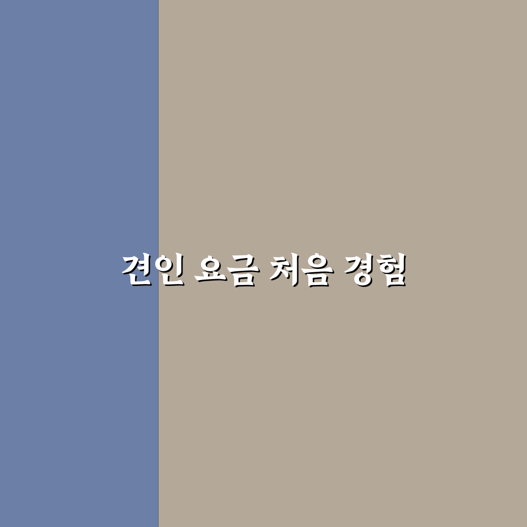 자동차 사고 시 견인 요금 기준과 바가지 피하는 요령에 대한 솔직후기