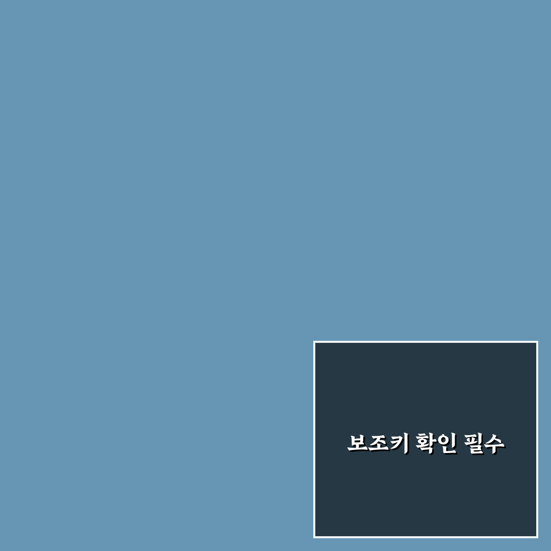 보조키 확인 필수인 이유와 없을 때 추가 비용 정리: 솔직후기