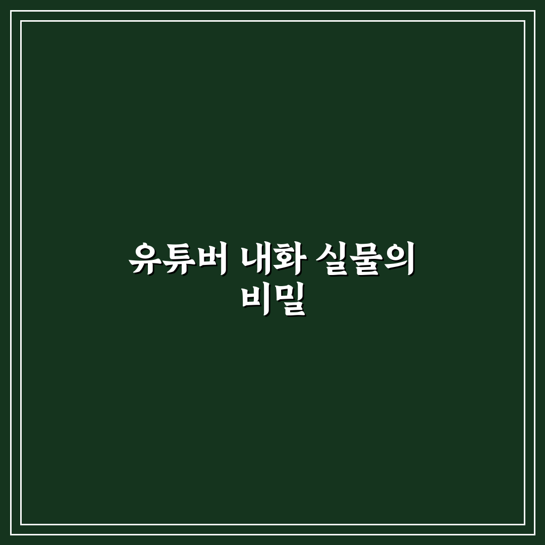 유튜버 내화 실물 확인 방법과 사용 후기 공유