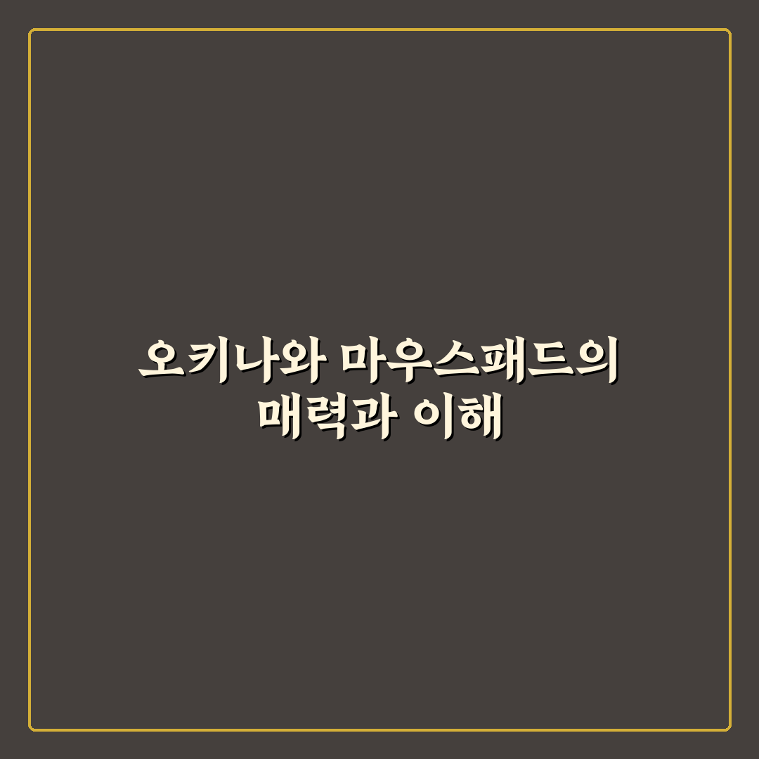 오키나와 마우스패드 추천과 사용 꿀팁 알려드려요