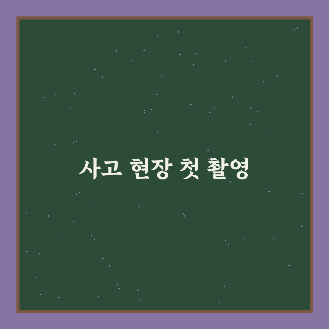사고 현장 사진 찍는 법 보험 처리에 유리한 구도 정리: 솔직후기