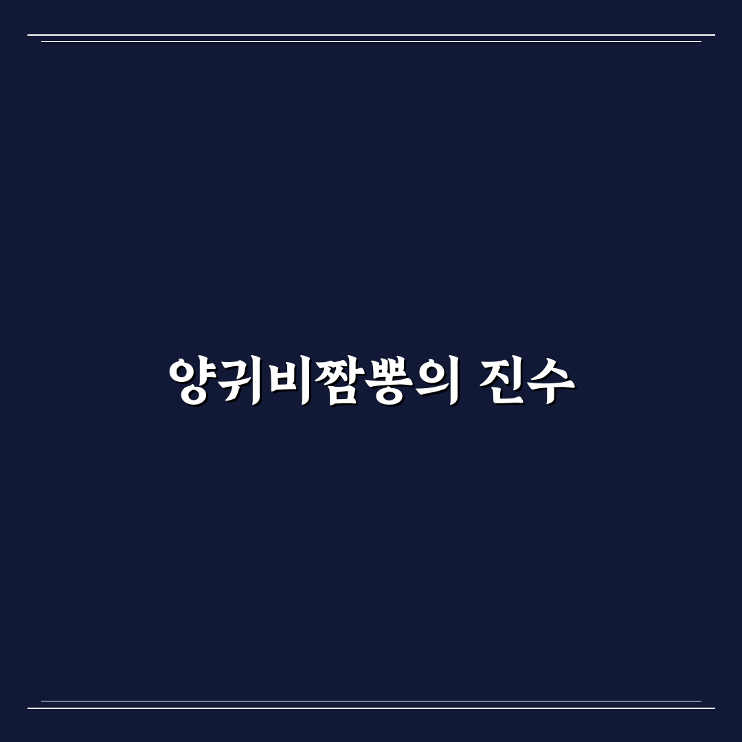 양귀비짬뽕 본점 방문 꿀팁과 메뉴 정보 정리