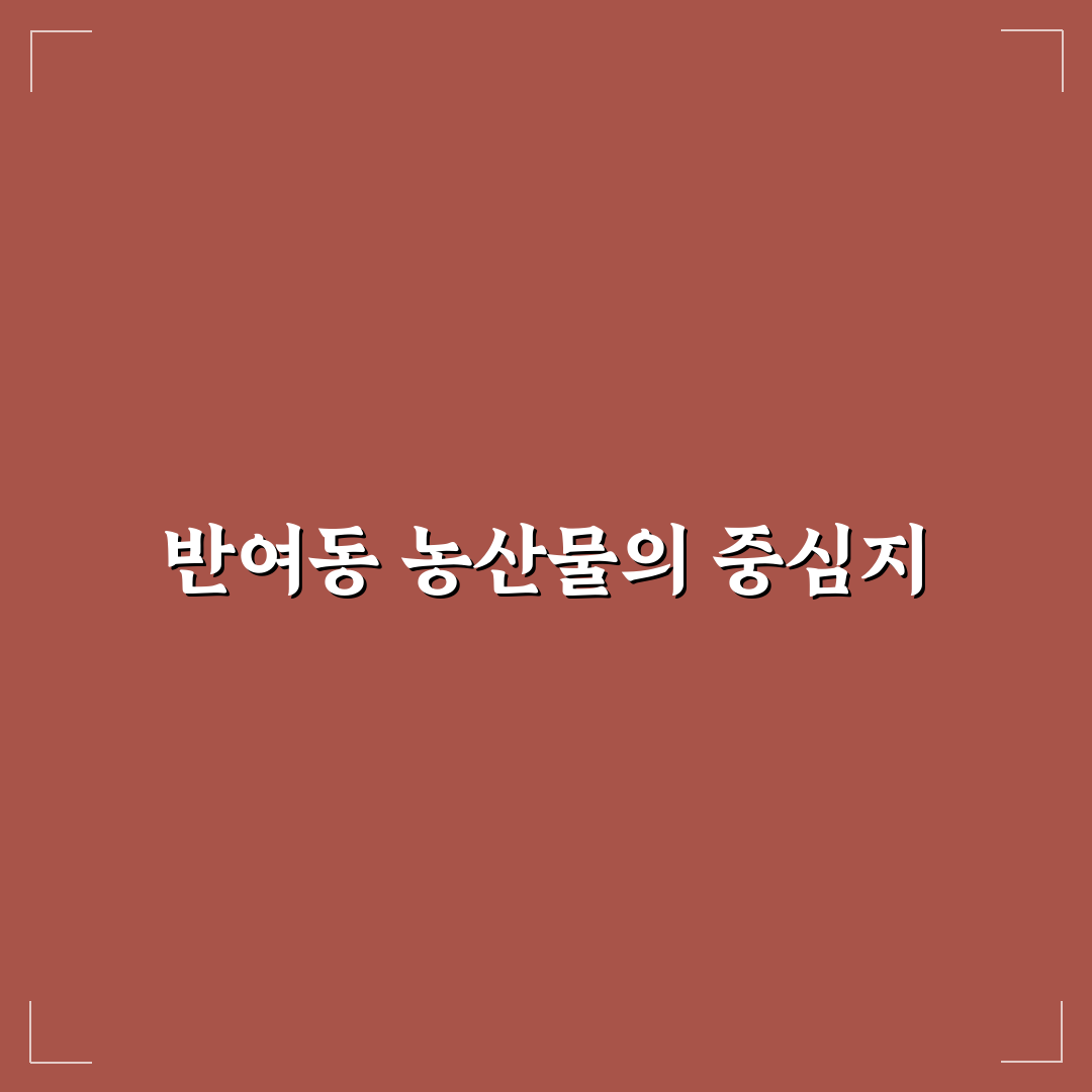 반여동 농산물시장 방문 꿀팁과 쇼핑 정보 정리