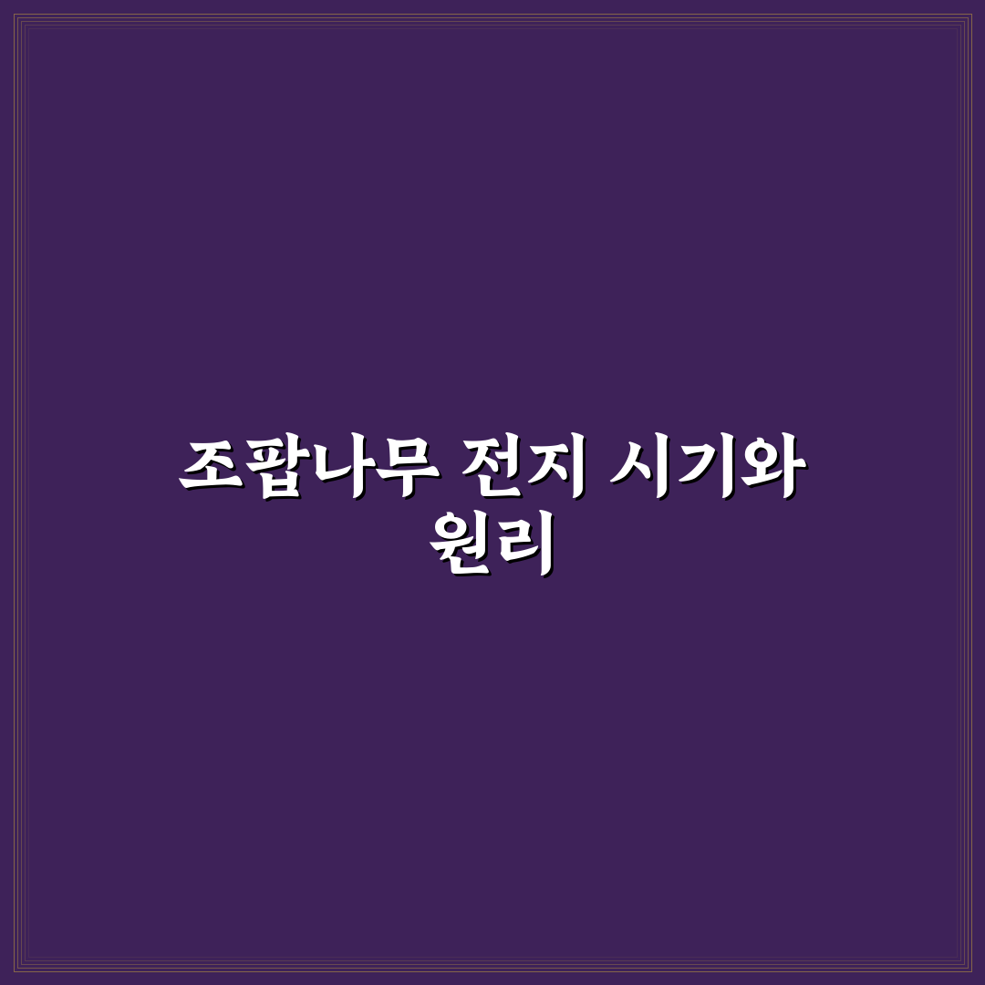 조팝나무 전지방법과 꿀팁 쉽게 알아보기