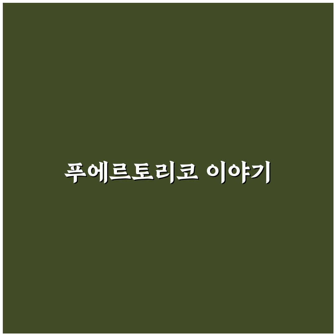 푸에르토리코 스페셜에디션 추천과 활용 꿀팁 알려드려요