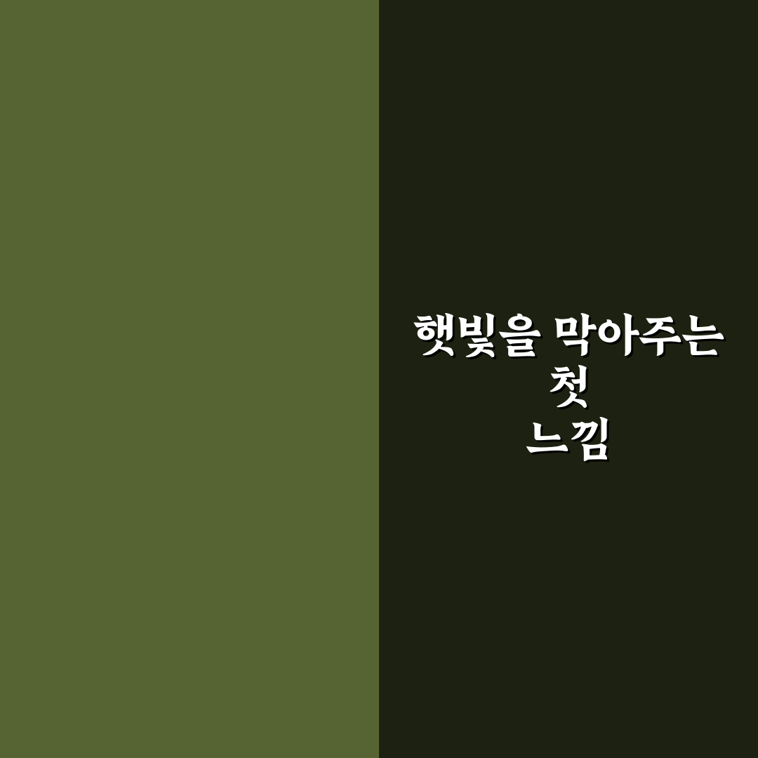 햇빛 가리개 자외선 차단 성능과 접이식 선택 기준: 솔직후기