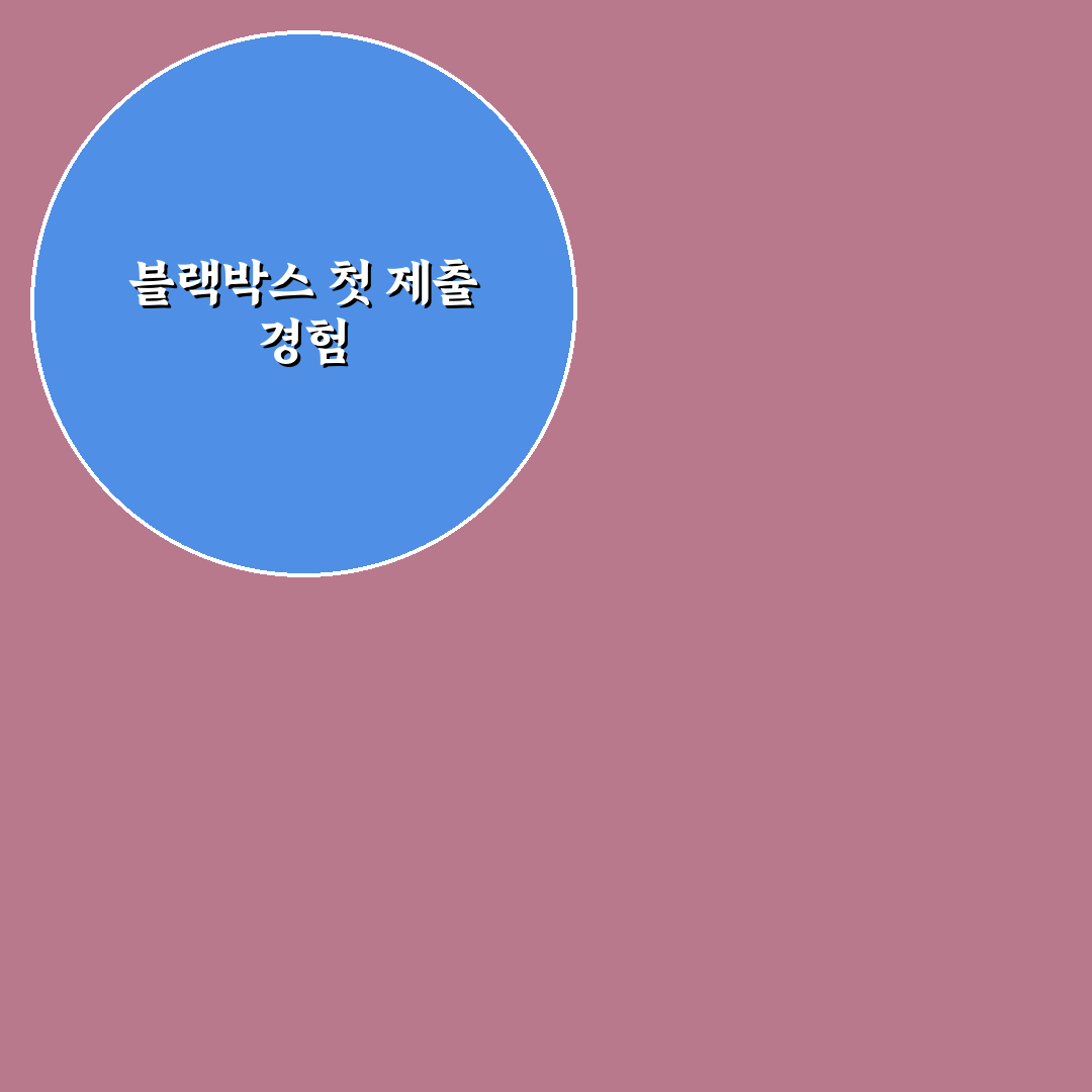 블랙박스 영상 제출 방법과 원본 보관 요령 알아보기: 솔직후기