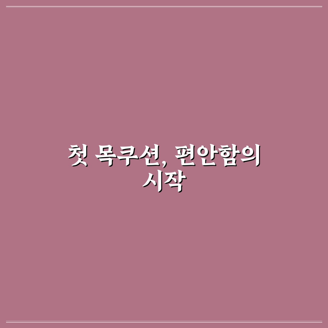 차량용 목쿠션 목디스크 완화에 도움 되는 형태 고르기, 사용후기