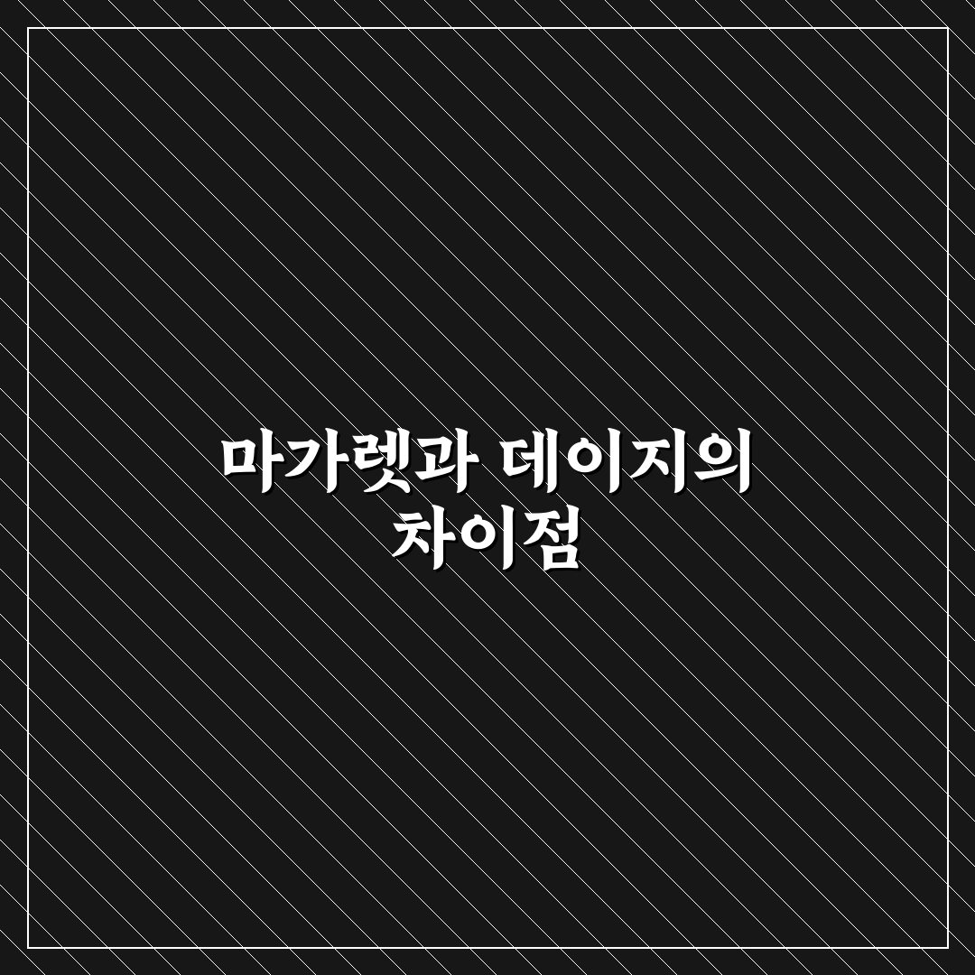 마가렛 꽃 데이지 차이 쉽게 알려드려요 정리