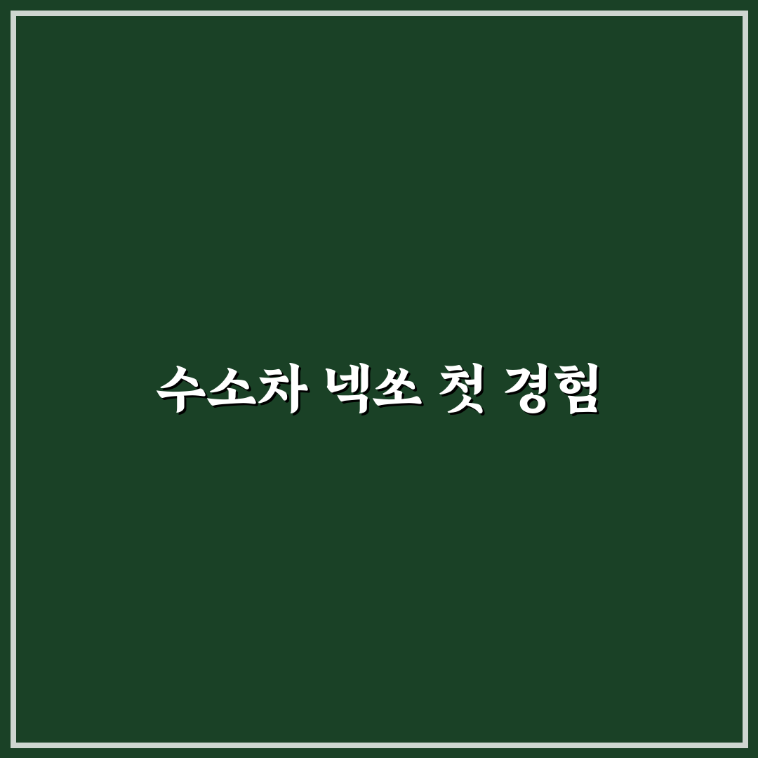 수소차 넥쏘 구매 메리트와 충전 인프라 현실 비교 정리, 솔직후기