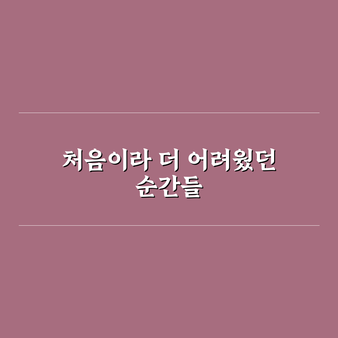 과태료와 범칙금 직접 알아보니 헷갈리는 차이점들