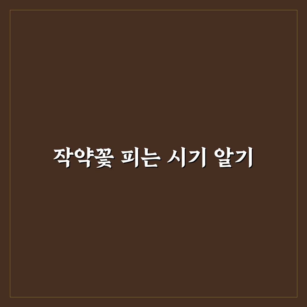 작약꽃 피는 시기와 특징 쉽게 알려드려요