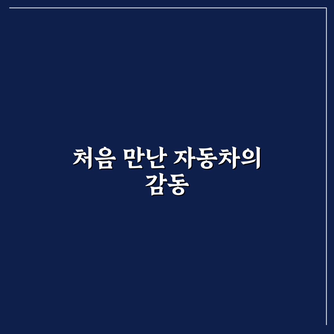 aslan 자동차 사용 후기, 직접 써보니 장단점은