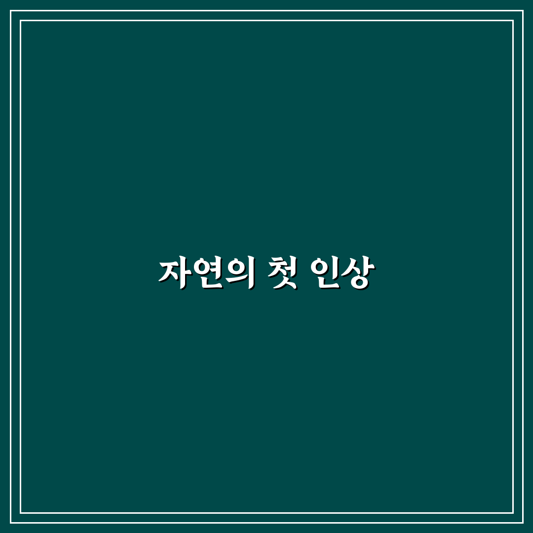 나무수국 종류 직접 알아보니 선택할 때 고민된 점