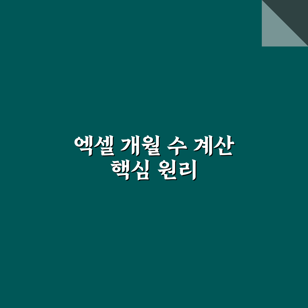 엑셀 개월수 계산 기준과 함수별 활용법 비교 분석