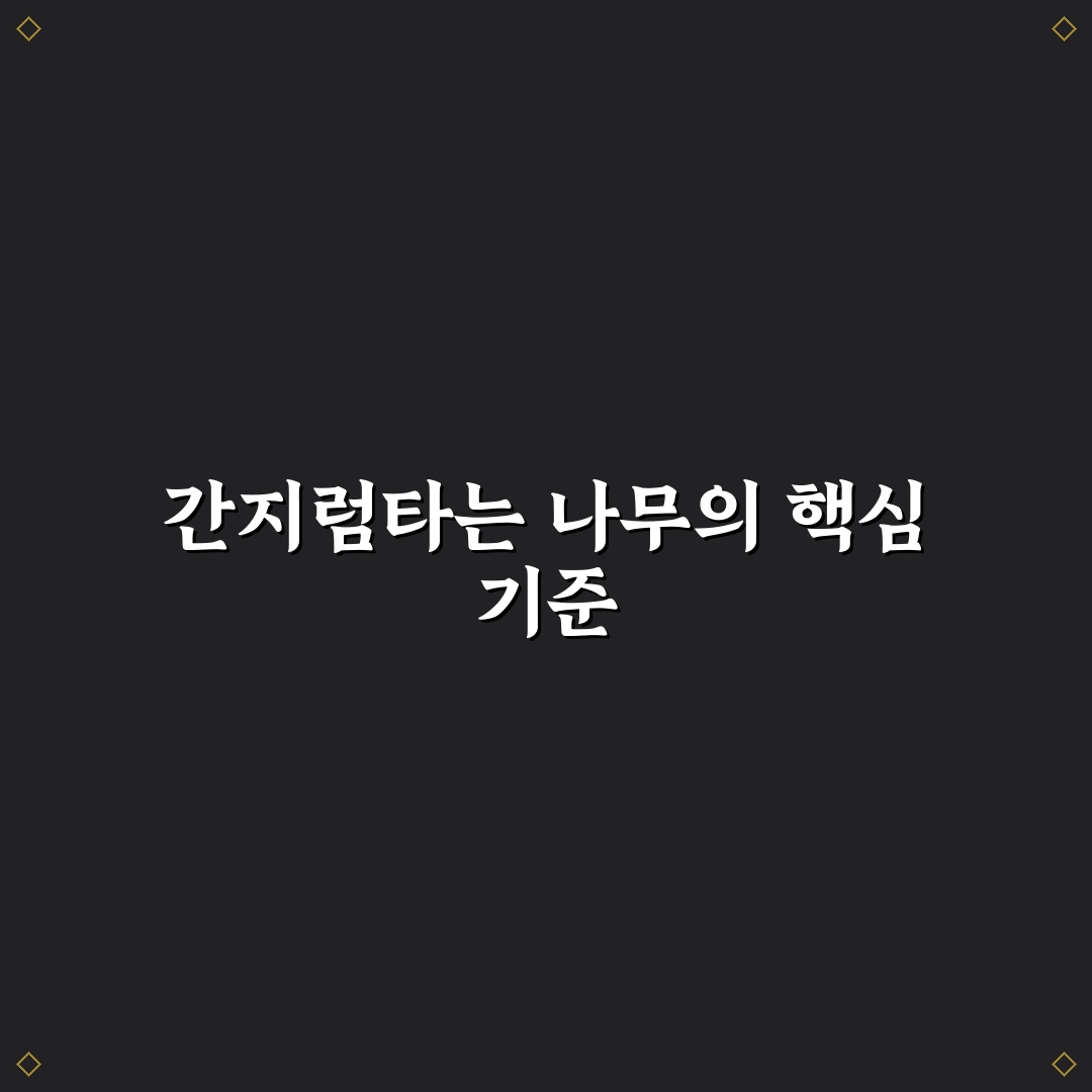 간지럼타는 나무 특징과 효과 비교 분석 가이드