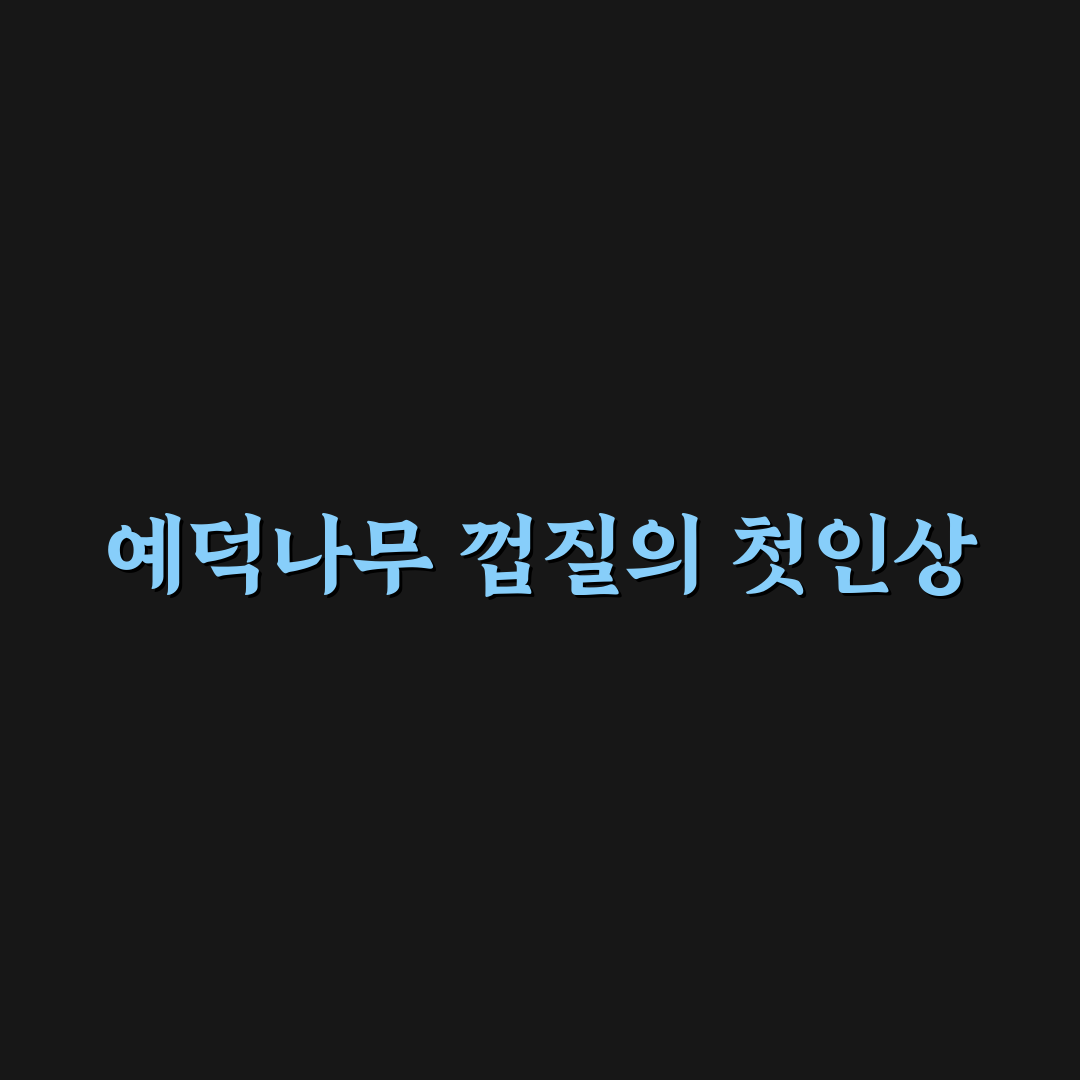 예덕나무 껍질 가격 직접 알아보니 변동 폭이 컸어요