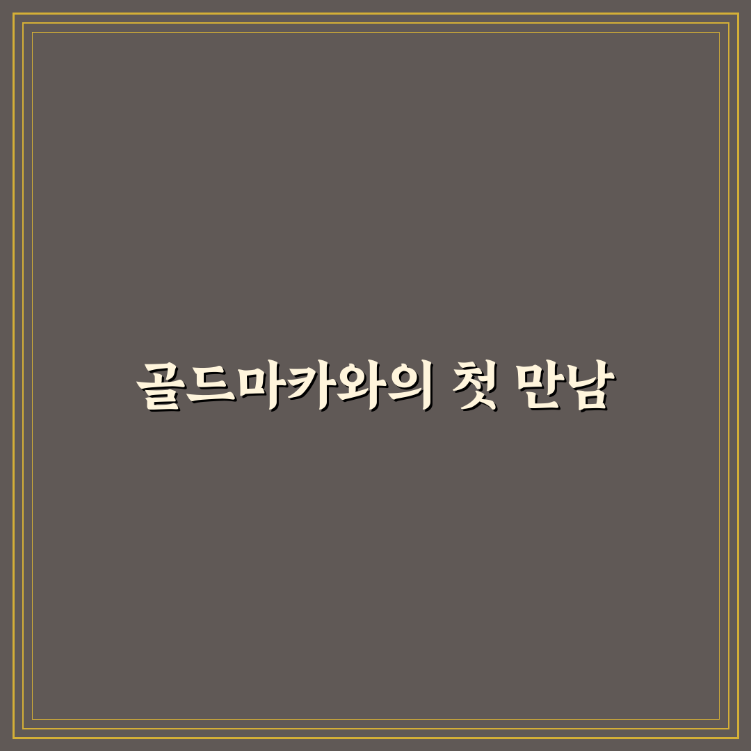 골드마카 효능 직접 써보니 느낀 변화와 아쉬운 점