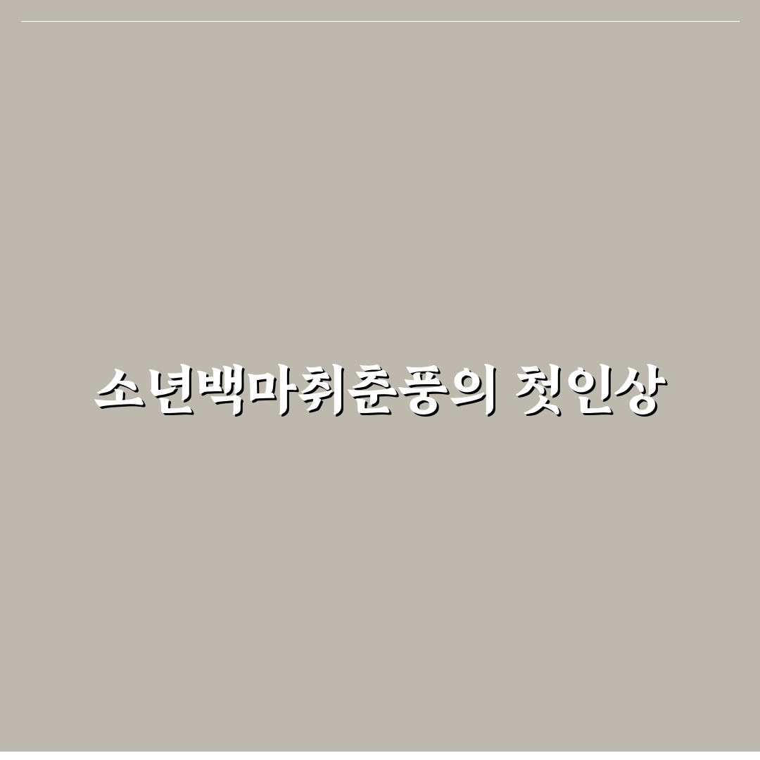 소년백마취춘풍 직접 써보니 느낀 점과 아쉬운 부분