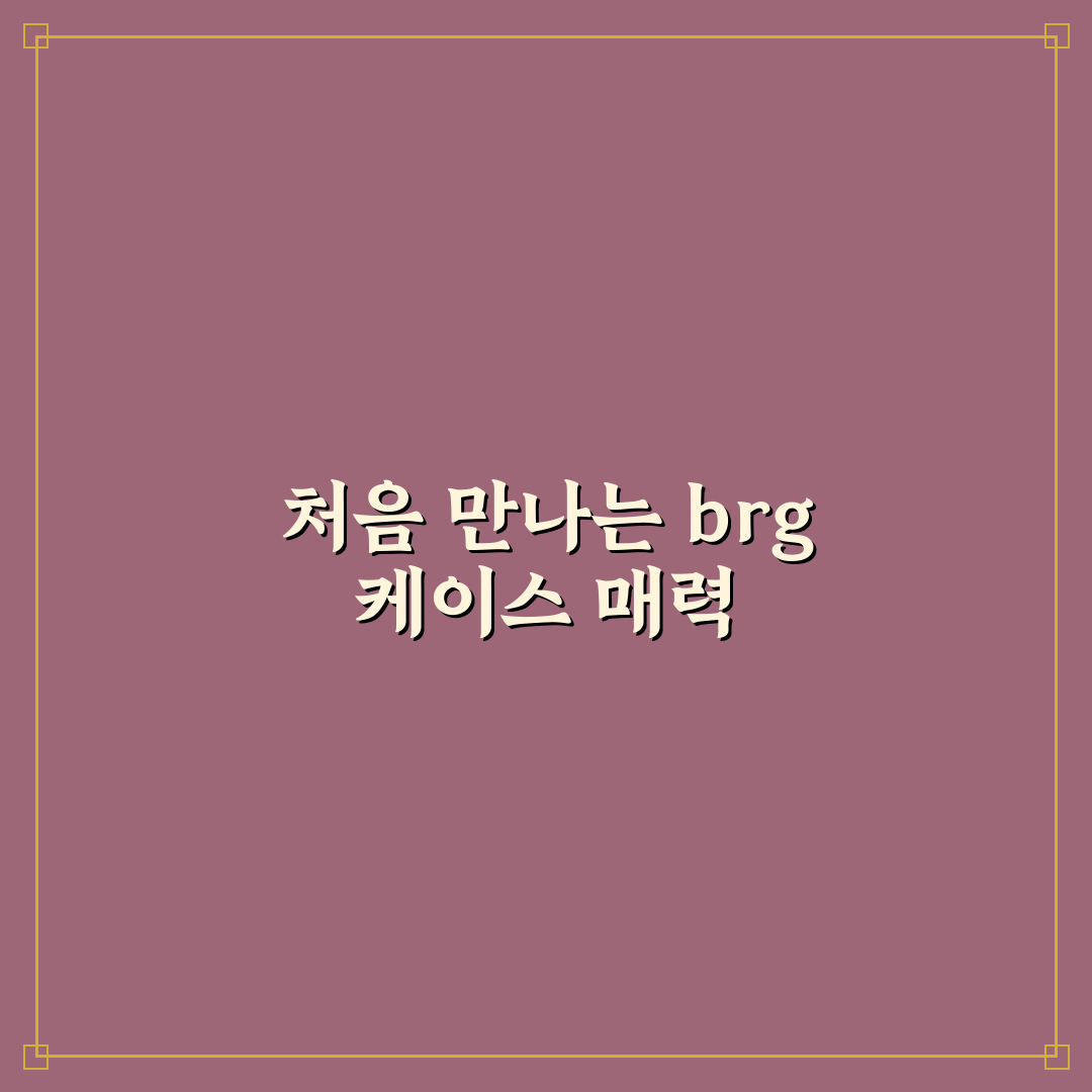 brg 케이스 사용 후기, 직접 써보니 알게 된 점