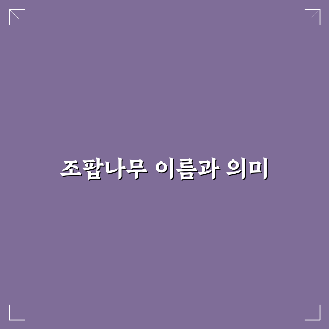 조팝나무 어원과 뜻 쉽게 알려드려요