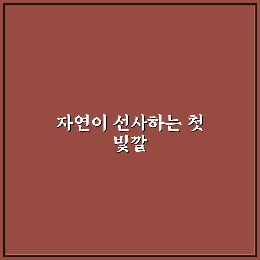 남원 바래봉 철쭉 방문 후기, 직접 가보니 풍경은 어땠을까
