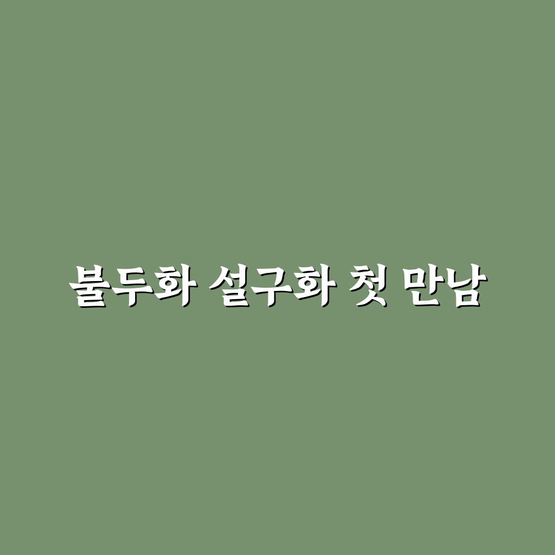 불두화 설구화 차이 직접 알아보니 달랐던 점