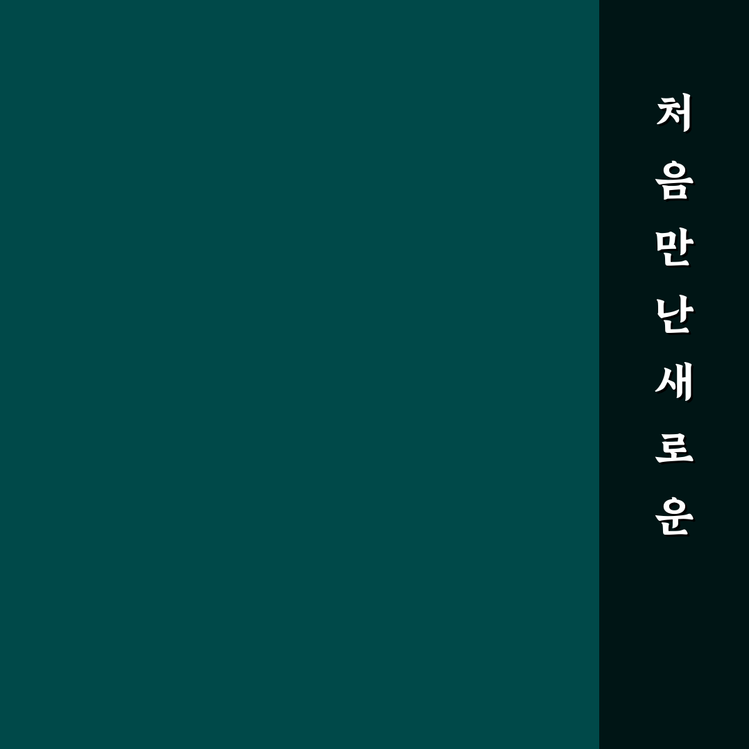 오키나와 타임즈 렌트카 직접 이용해보니 장단점