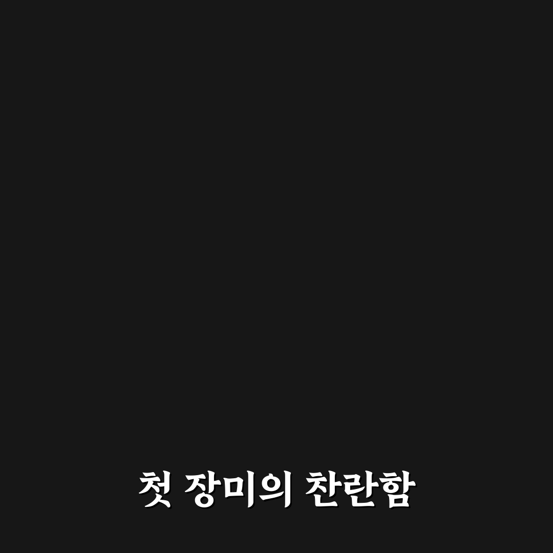 장미 꽃화원 방문 후기, 직접 가보니 분위기는 어땠는지