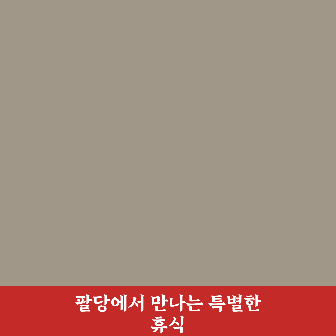 팔당 봉주르 카페 방문 전 알아두면 좋은 꿀팁 공유