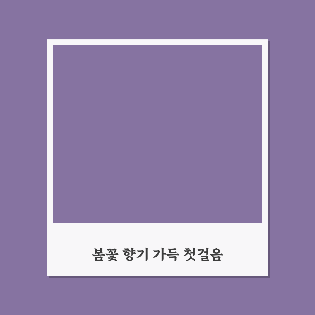 안면도 튤립축제 날짜 직접 알아보니 일정은 어떨까